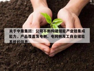 关于中集集团：公司不断构建储能产业链集成能力，产品覆盖发电侧、电网侧及工商业储能系统的信息