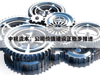 中粮资本：公司价值建设正稳步推进