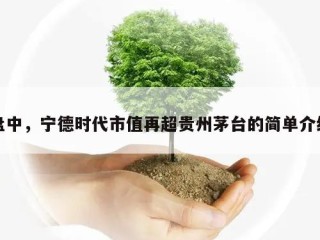 盘中，宁德时代市值再超贵州茅台的简单介绍