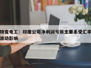 特变电工：印度公司净利润亏损主要系受汇率波动影响